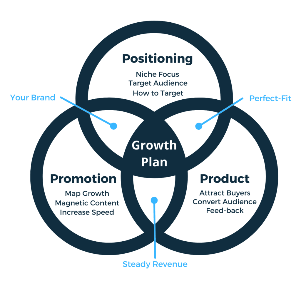 Digital Marketing Strategy Model